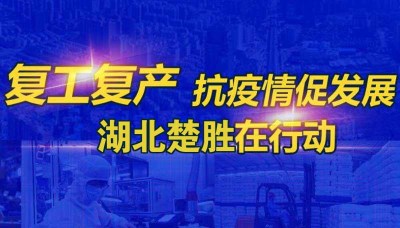 嚴(yán)防疫情、有序復(fù)工 湖北楚勝成為隨州首批復(fù)產(chǎn)企業(yè)之一